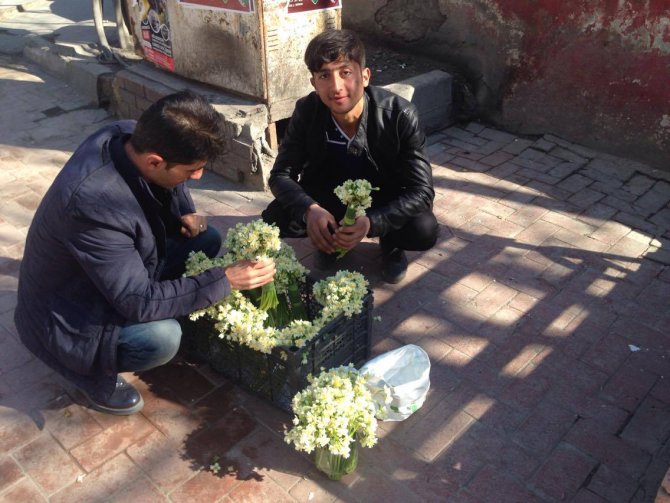 Baharın habercisi nergiz çiçeği satışa sunuldu