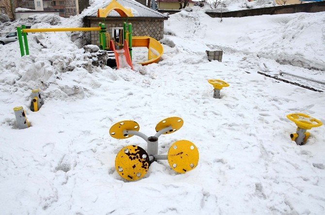 Bitlis’te Kardan Kaleler Oluştu