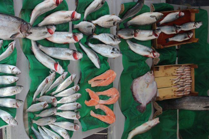 Denizlerde balık az, tezgahlarda fiyatlar fazla