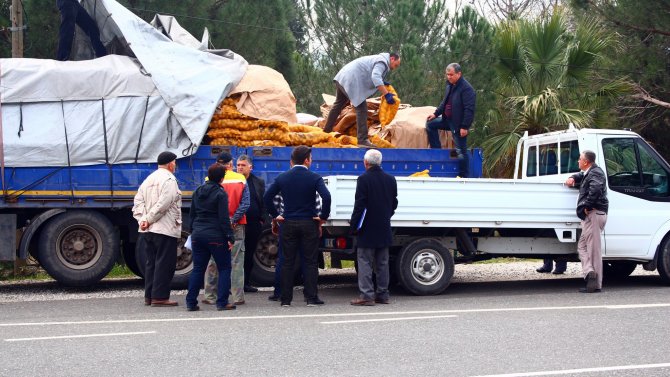 Çiftçiye 130 ton patates tohumu dağıtıldı