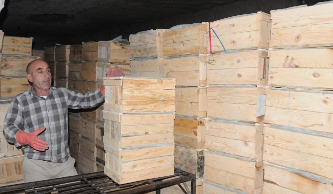 Akdeniz’de yetişen limonlar, Kapadokya’da lezzetleniyor