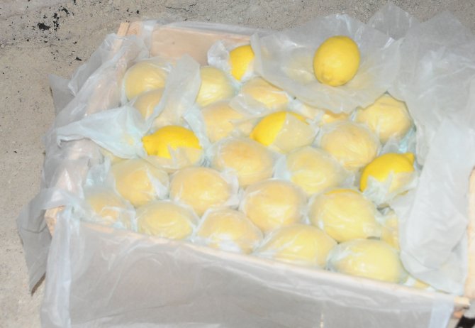Akdeniz’de yetişen limonlar, Kapadokya’da lezzetleniyor