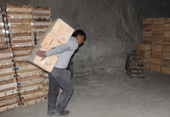 Akdeniz’de yetişen limonlar, Kapadokya’da lezzetleniyor