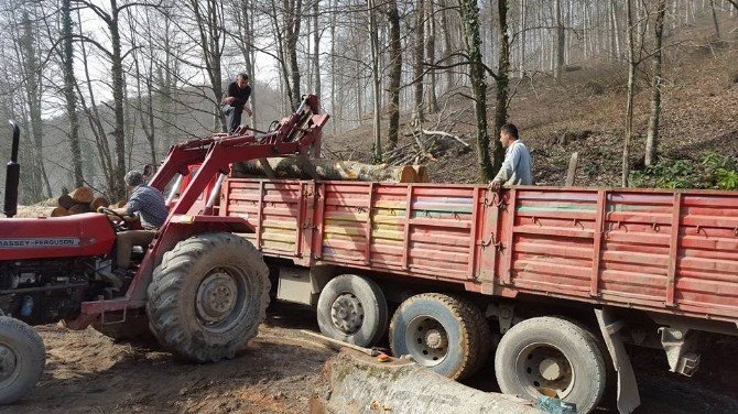 Orman İşletme Şefi Üretim Sahalarını Kontrol Etti
