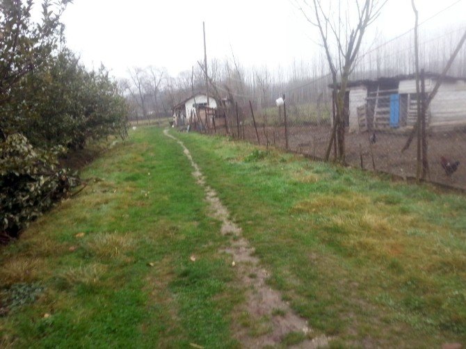 Samanlıkta Kendini Asarak İntihar Etti