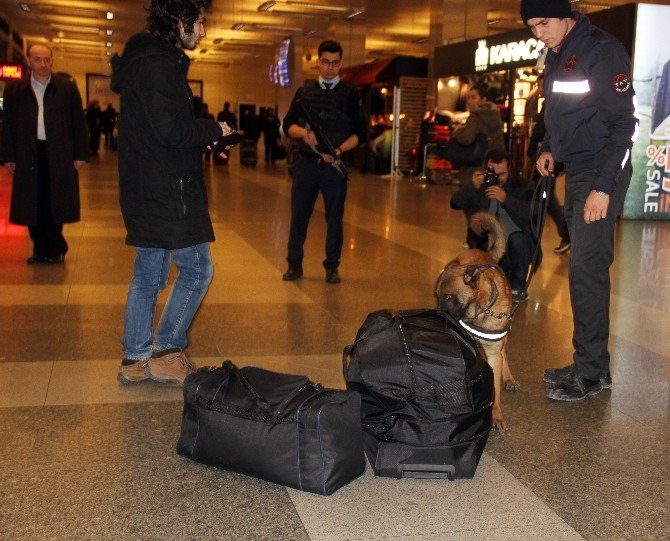 Havalimanında K-9 Köpekleri Bomba İzi Sürüyor