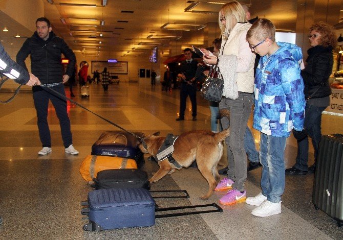 Havalimanında K-9 Köpekleri Bomba İzi Sürüyor