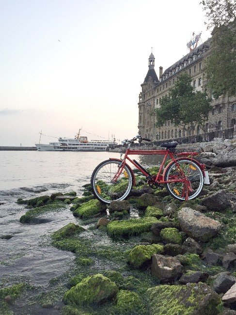 TEK Aşkı Kırmızı Bisikleti