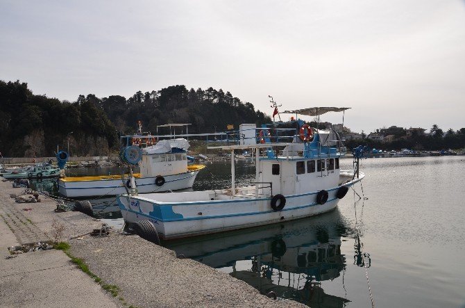 Alaplı’da 100 Tekne Limanda Mahsur Kaldı