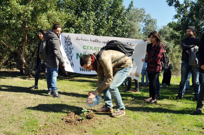 Cerattepe'deki ağaç katliamını protesto eden öğrenciler kampüse ağaç dikti