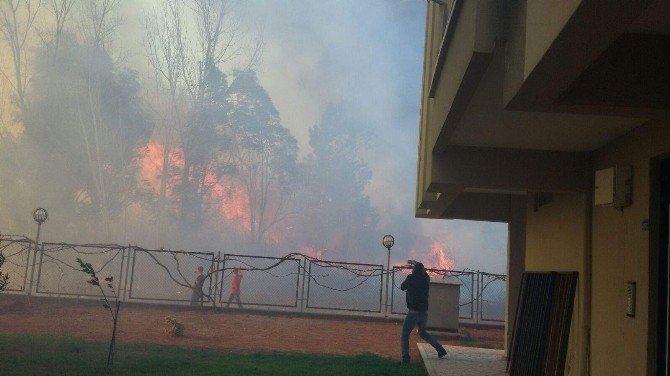 Antalya’da Yangın Paniği
