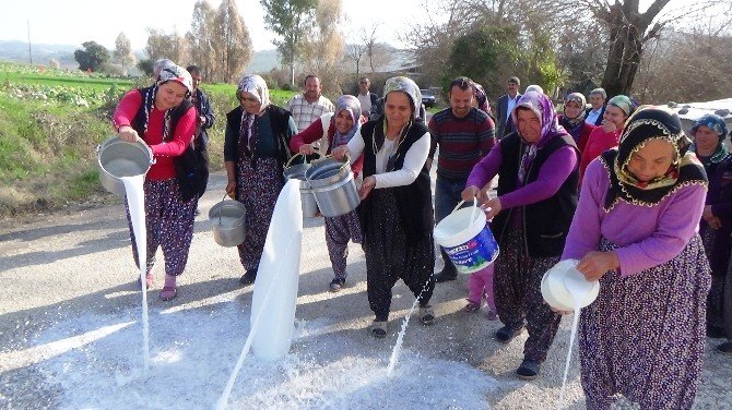 Köylü Kadınlar Sütlerini Sokağa Döktü
