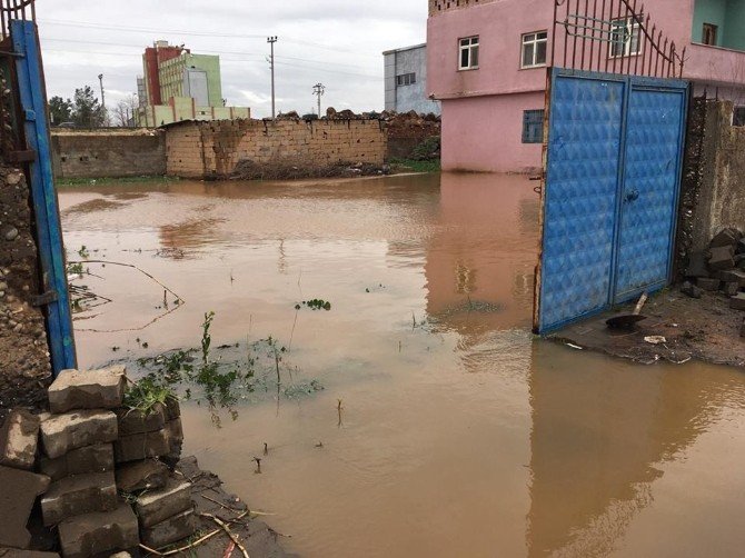 Viranşehir’de Sağanak Yağış Sele Neden Oldu