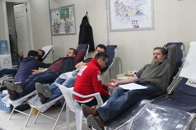 Tosya’da Kan Bağışında Rekor