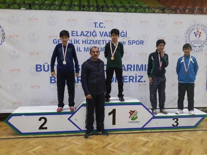 Vanlı Karateciler Türkiye Finalinde