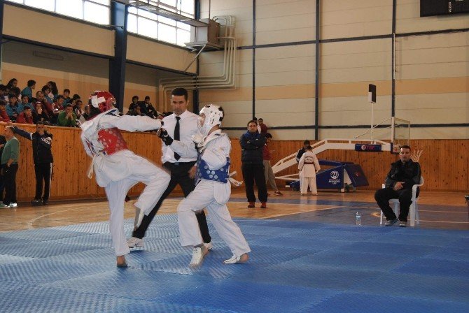 Analig Taekwondo Yarı Final Maçları Nevşehir’de Başladı