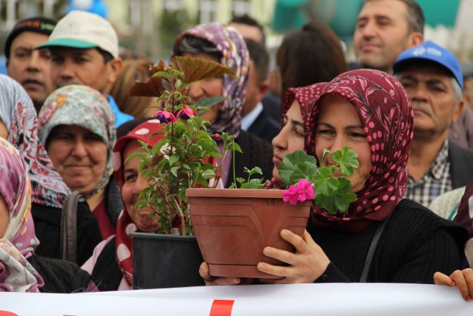 Aydın sokakları Mutaflarlı kadınların yetiştirdiği çiçeklerle süslenecek