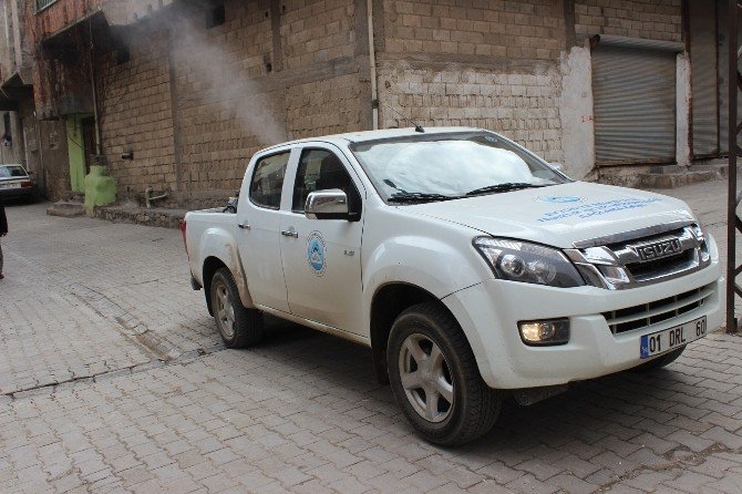 Eyyübiye Belediyesi Haşere İlaçlamasına Erken Başladı