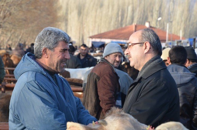 Başkan Şinasi Gülcüoğlu Canlı Hayvan Pazarını Ziyaret Etti