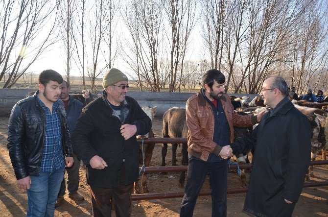 Başkan Şinasi Gülcüoğlu Canlı Hayvan Pazarını Ziyaret Etti