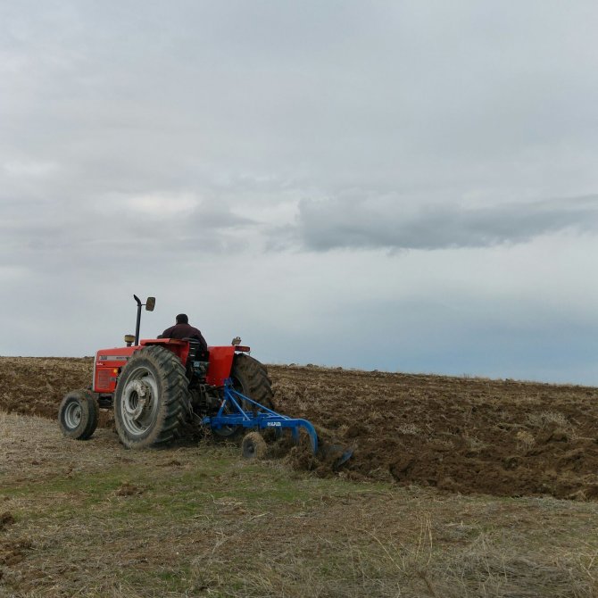 Çiftçiler aspir için hazırlıklara başladı