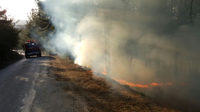 Bilecik'te yılın ilk orman yangını