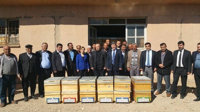 450 Arı Kovanı Bal Üreticisine Dağıtıldı