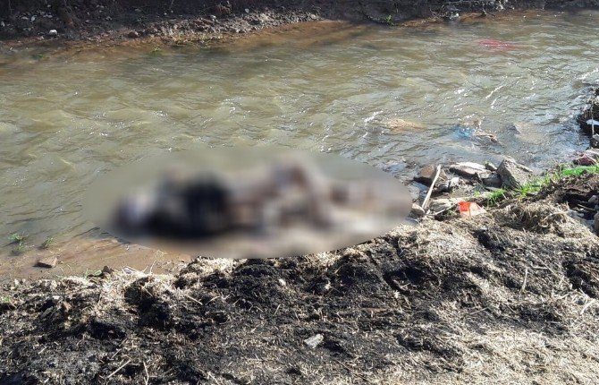 Su Kanalında İşkence Edilerek Öldürülmüş Erkek Cesedi Bulundu