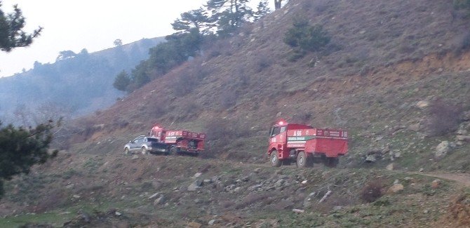 Alaşehir’deki Orman Yangını Kontrol Altına Alındı