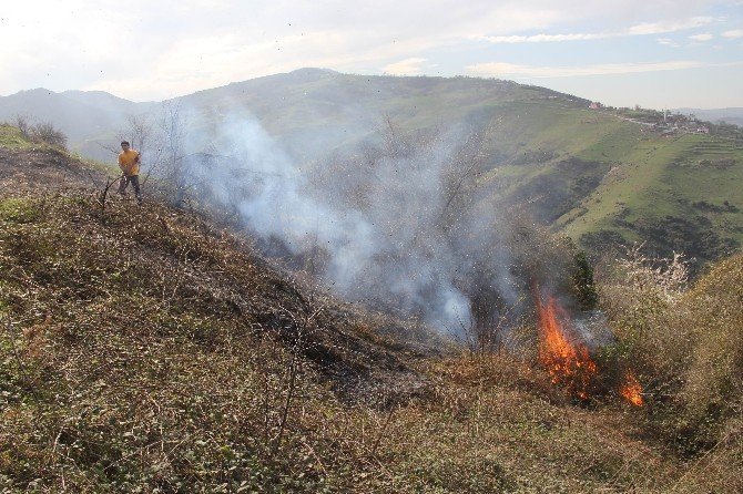 Yangın, Ormanlık Alana Sıçramadan Söndürüldü