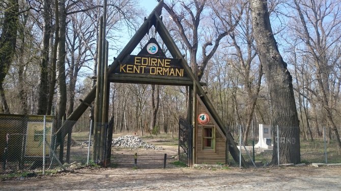 Edirne Belediyesi Kent Ormanı'na kavuştu