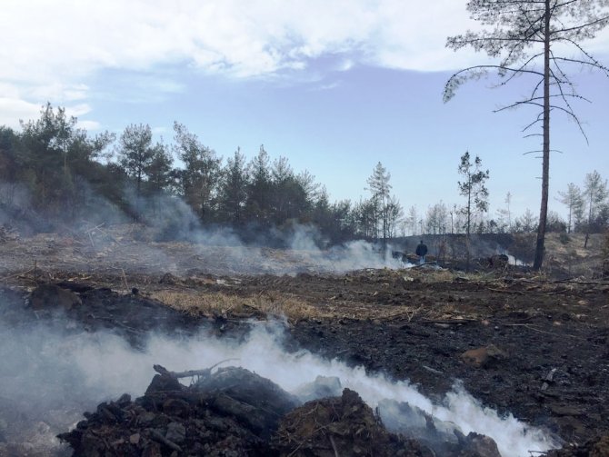Amanoslarda 10 hektar kızılçam ormanı yandı