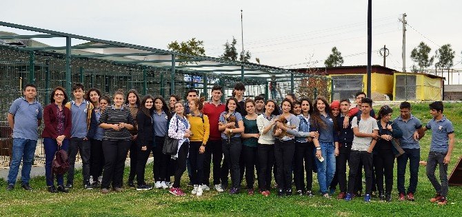 Lise Öğrencilerinden Muratpaşa Veterinerliğine Ziyaret