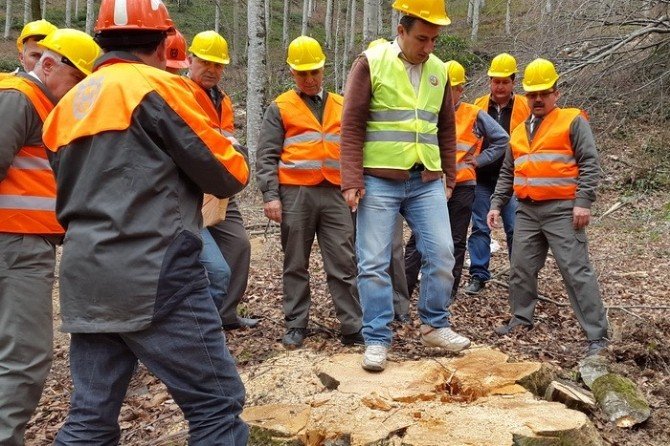 Ormanda Üretim Ve İş Güvenliği Tatbikatı Yapıldı