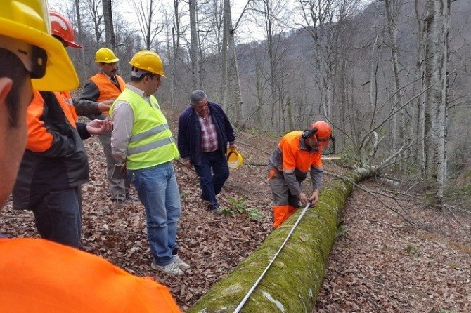 Ormanda Üretim Ve İş Güvenliği Tatbikatı Yapıldı