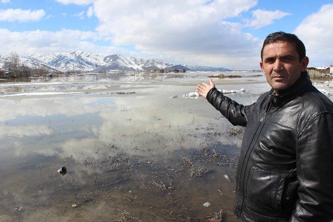 Kar Suları, Tarım Arazileri Ve Evleri Su Altında Bıraktı