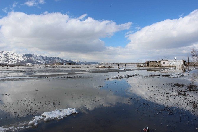 Kar Suları, Tarım Arazileri Ve Evleri Su Altında Bıraktı