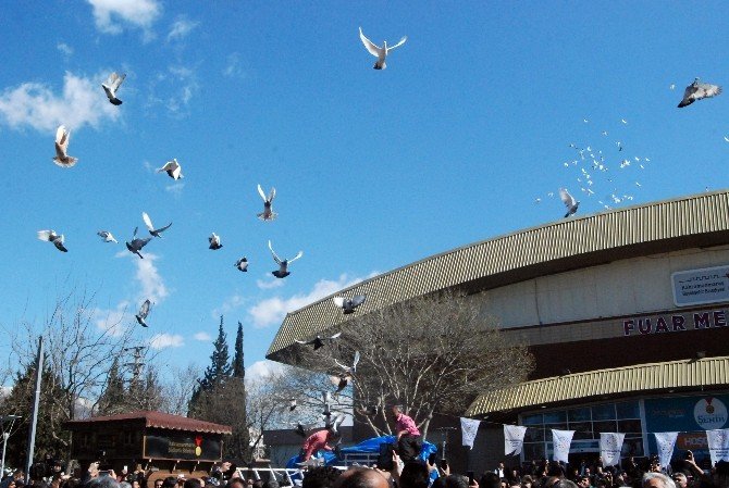 Kahramanmaraş’ta 6. Filo Güvercin Festivali