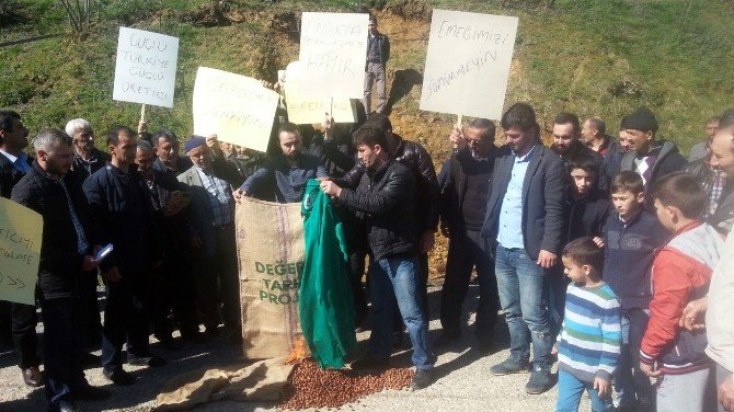 Köylülerden Fındık Fiyatları Protestosu