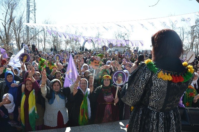 Yüksekova’da Kadınlar Günü Kutlandı