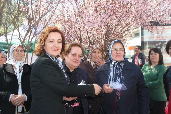 CHP Bilecik Kadın Kolları Başkanlığı’nın 8 Mart Kadınlar Günü Etkinliği