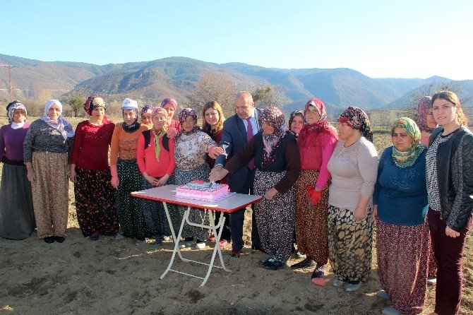 Başkan Arslan, Kadınlar Gününde Sarımsak Tarlasında Çalışan Kadınlara Pasta Kesti