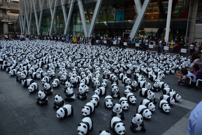 "1600 panda" Tayland’da