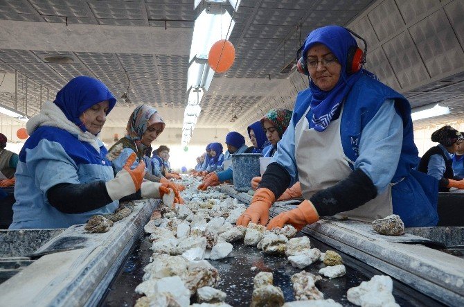 Eskişehir’in Madenci Kadınları