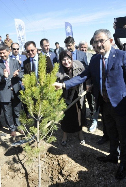 Selçuk’ta Bin 41 Fidan Toprakla Buluştu