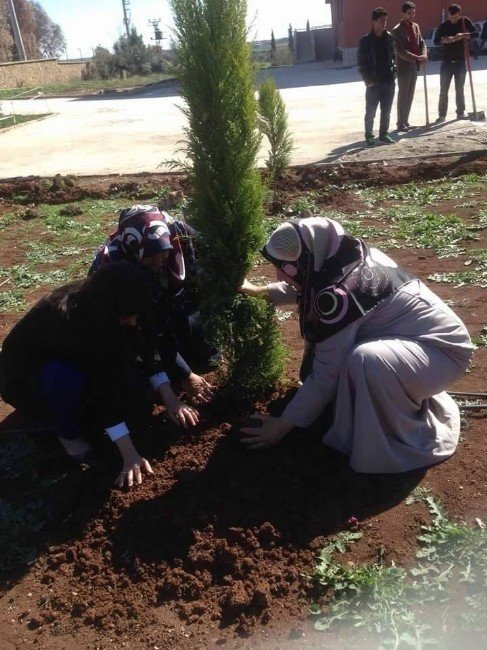 Viranşehirli Kadınlar Okul Bahçesine Ağaç Dikti