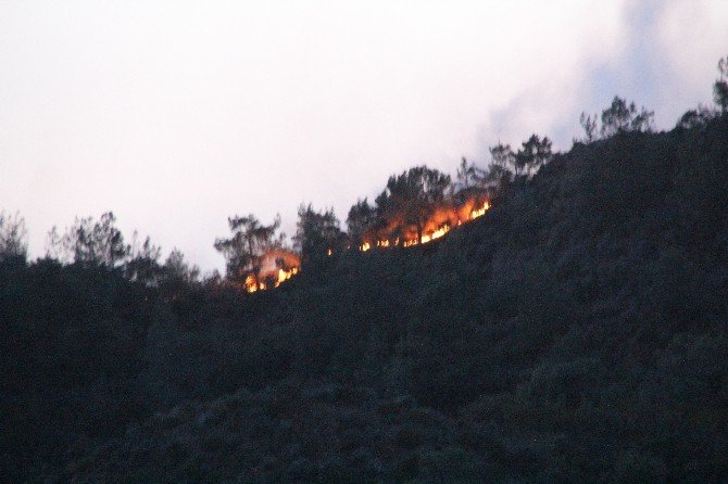 Marmaris’teki Orman Yangını