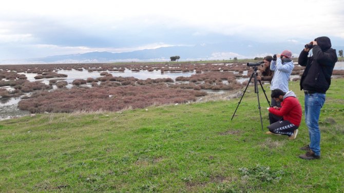 Türkiye’nin ilk suni adasında 7 bin flamingo yumurtadan çıktı