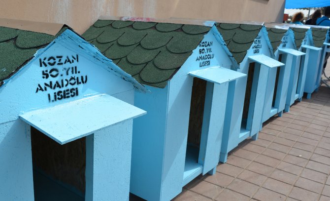 Lise öğrencileri sokak hayvanları için kulübe yaptı