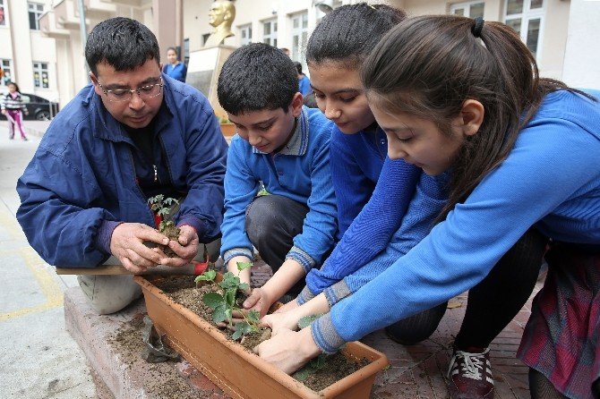 Minik Öğrencilere Organik Tarım Yapma Fırsatı
